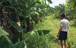 Cục Trẻ em đề nghị ưu tiên điều tra vụ bé gái 12 tuổi bị chặn đường hiếp dâm ở Gia Lâm