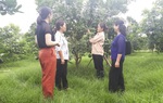 Phụ nữ Thủ đô sáng tạo xây dựng nông thôn mới nâng cao 