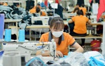 Dệt may Việt Nam tìm kiếm cơ hội ở thị trường nội địa