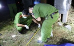 Nghệ An: Bắt nghi can sát hại vợ lúc rạng sáng