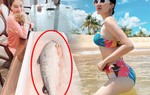 Bị chê mặt béo trên tivi, Bảo Thy được ông xã tặng cá hồi 7kg để giảm cân