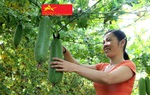 Hà Tĩnh: Phát động phong trào khởi nghiệp năm 2020 - 2021