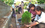Nâng cao kiến thức về vai trò của phụ nữ trong xây dựng nông thôn mới