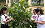 Quỹ 1 triệu cây xanh cho Việt Nam: Lan tỏa tình yêu thiên nhiên, môi trường đến với học sinh