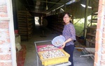 Đi lên từ nuôi chim cút