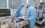  Hạnh phúc đâu chỉ của riêng mình