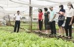 Chia sẻ kinh nghiệm thực hiện tiêu chí nông thôn mới nâng cao