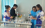 Bảo vệ môi trường bằng vỏ hạt điều và lá cây dã quỳ