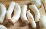 Mua nấm đùi gà chọn cây dài hay ngắn? Người trồng tiết lộ sự thật bất ngờ