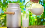 Phụ nữ mang thai không nên bỏ qua 10 thực phẩm giàu vitamin A này