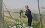 Người phụ nữ làm giàu từ nông nghiệp công nghệ cao