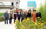Con đường hoa dài cả cây số đẹp như trong “truyện cổ tích” 