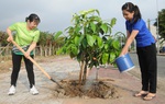 Phấn đấu hết năm 2025 cả nước sẽ trồng được ít nhất 1 tỷ cây xanh