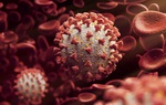 Tại sao các chủng biến thể của virus SARS-CoV-2 lại nguy hiểm hơn so với chủng ban đầu?
