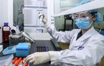 Việt Nam đàm phán với đối tác của 4 nước mua vaccine phòng chống Covid-19