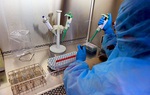 Chuyến bay VN50 có 6 ca nhiễm COVID-19