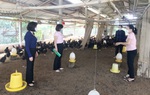 Ủy thác tín dụng chính sách qua Hội phụ nữ thực hiện mục tiêu giảm nghèo bền vững