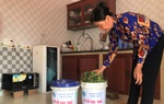 Bắc Ninh: Hiệu quả từ mô hình khu dân cư không rác thải 