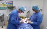 Má cô gái 23 tuổi bị nhiễm trùng, sưng to sau khi tiêm "filler Hàn Quốc"