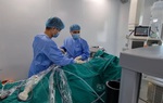 Tán sỏi qua da cứu thai phụ suy thận cấp