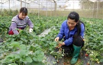 Làm gì để xanh từ sản xuất đến tiêu dùng?