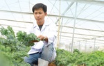 CEO 8X nghiên cứu dòng đồ uống thảo dược dành cho phái đẹp