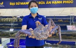 Cua hoàng đế tím cực hiếm trong lô hàng nhập khẩu vào Việt Nam