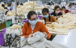 Ưu tiên hướng nghiệp lao động nữ, lao động phi chính thức trong tái cơ cấu kinh tế