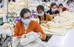 Mong có chính sách hỗ trợ việc làm cho phụ nữ trên 35 tuổi