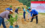 Công đoàn Agribank hưởng ứng Chiến dịch "Làm cho thế giới sạch hơn" năm 2021