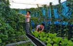 “Thực túc, binh cường” ở Trường Sa