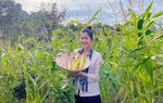 Diễn viên Hoàng Phượng về quê khởi nghiệp với mì ngô