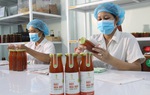 Số dự án ở miền Tây tham gia cuộc thi khởi nghiệp nông nghiệp giảm do Covid-19