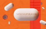 Thuốc Molnupiravir điều trị cho bệnh nhân Covid-19 tại Việt Nam kết quả ra sao?  