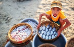 Đại dịch Covid-19 làm gia tăng lao động trẻ em trái quy định