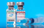 Người tiêm mũi 1 vaccine Pfizer, AstraZeneca sẽ tiêm mũi 2 bằng Moderna