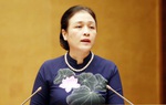 Bà Nguyễn Phương Nga: "Đối ngoại nhân dân cần linh hoạt, thích ứng với tình hình mới"