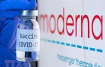 Moderna sắp tung ra loại vaccine chống lại được biến thể Omicron