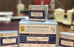 Bộ Y tế: Việc nâng khống giá của Công ty Việt Á là rất nghiêm trọng