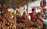 10 sự kiện khoa học và công nghệ nổi bật tại Việt Nam năm 2021