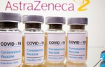 Vaccine Covid-19 của Việt Nam cho kết quả tốt giai đoạn 1, chuẩn bị thử nghiệm giai đoạn 2