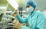 Một số đối tượng được ưu tiên sử dụng vaccine phòng chống Covid-19