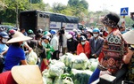 Giải cứu nông sản Hải Dương: Trong khó khăn càng cần sẻ chia, giúp đỡ