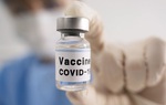 Lô vaccine Covid-19 đầu tiên sẽ về Việt Nam thế nào?
