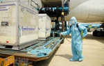 Vaccine AstraZeneca: Hiệu quả bảo vệ lên đến 81% sau 12 tuần tiêm
