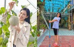 Nhà Hoa hậu Đỗ Thị Hà có vườn rau, cây trái sum suê và khu trồng lan rực rỡ