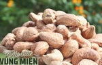 10 đặc sản dân dã ở Bình Phước, ăn một lần nhớ mãi, giá chỉ từ 15k