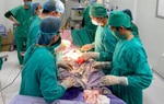 Sản phụ ở huyện đảo được cứu sống nhờ hội chẩn từ xa