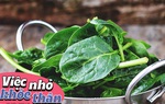 Điều gì sẽ xảy ra với cơ thể khi bạn ăn cải bó xôi đều đặn mỗi ngày?
