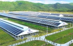 Vinamilk đầu tư hệ thống năng lượng mặt trời tại 12 trang trại bò sữa trên cả nước